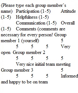 Lab 1 - Team Member Evaluation
